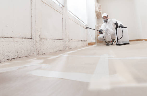 24/7 Emergency Mold Remediation experts in Mundelein, IL